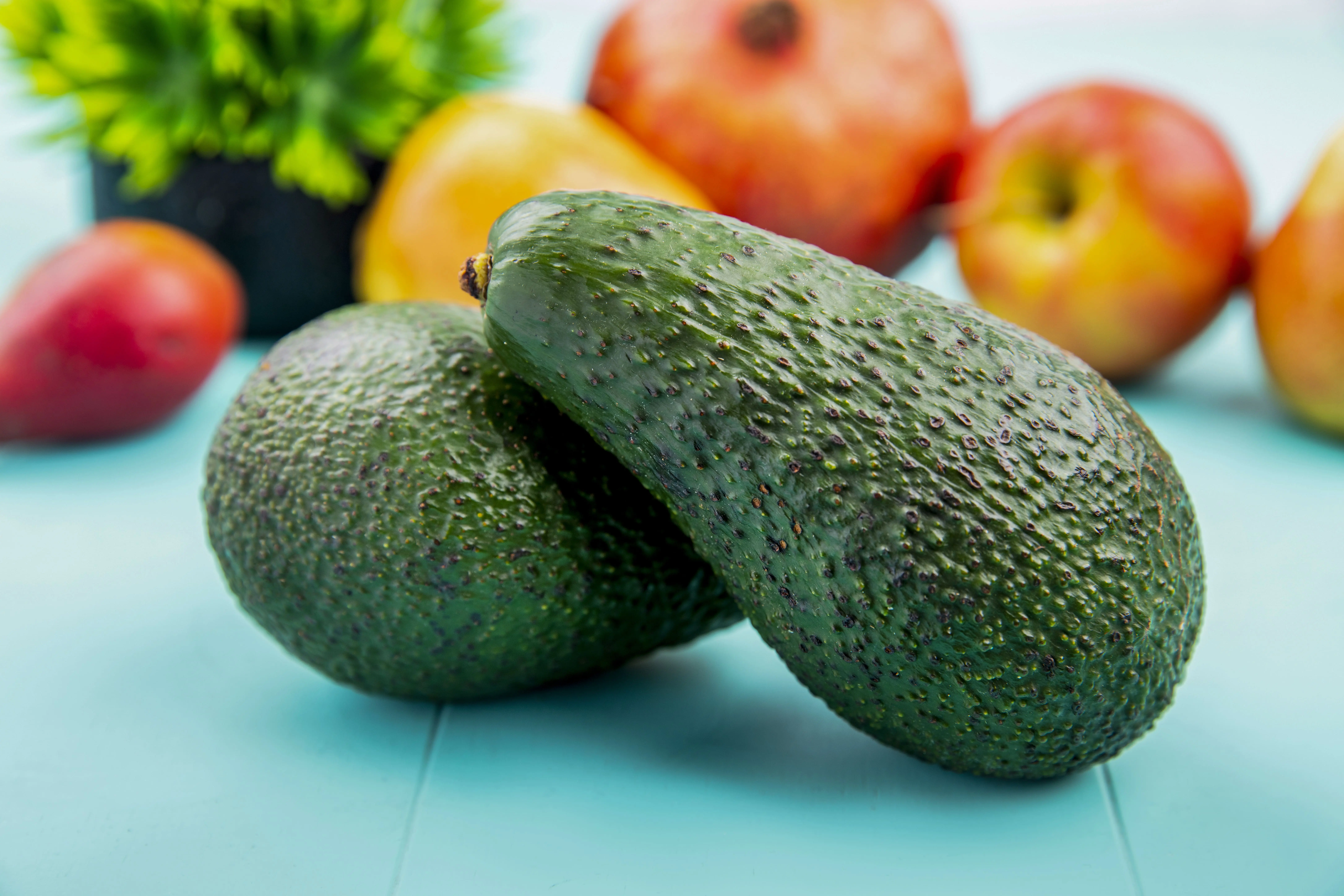 Avocat